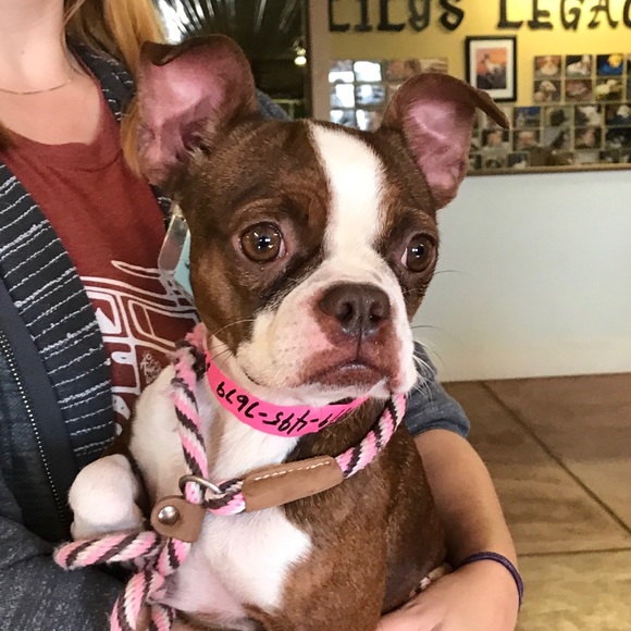 Meet your Posher, Margaret - Picture 1 of 1